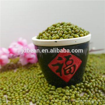 ALIBABA UTILISÉ EXCLUSIVEMENT Green haricots mungo (GF2)